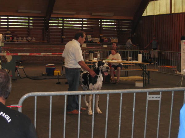 Bild 043