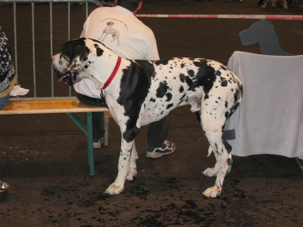 Bild 045