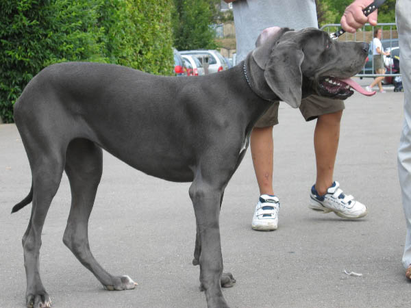 Bild 057
