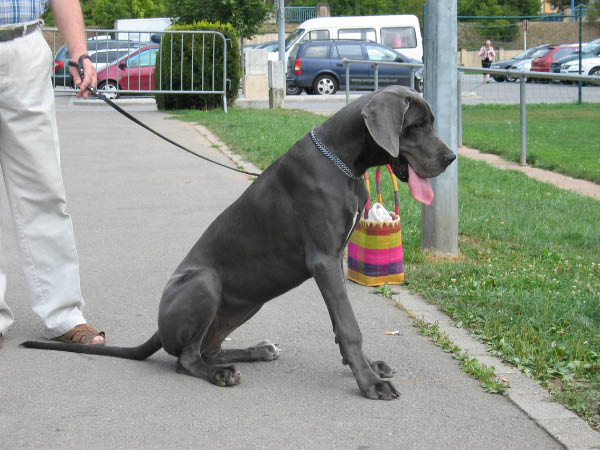 Bild 059