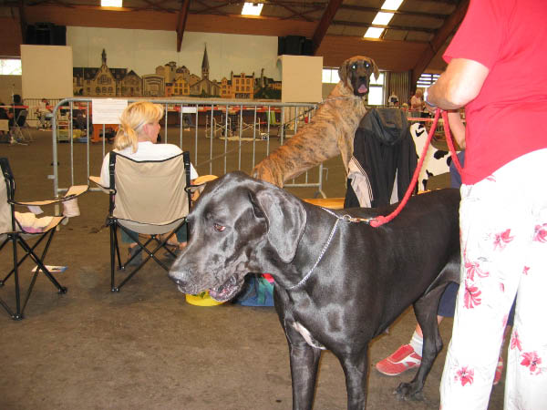 Bild 070