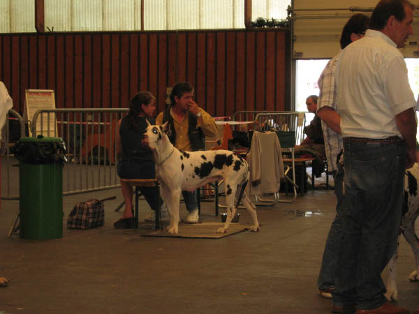 Bild 071
