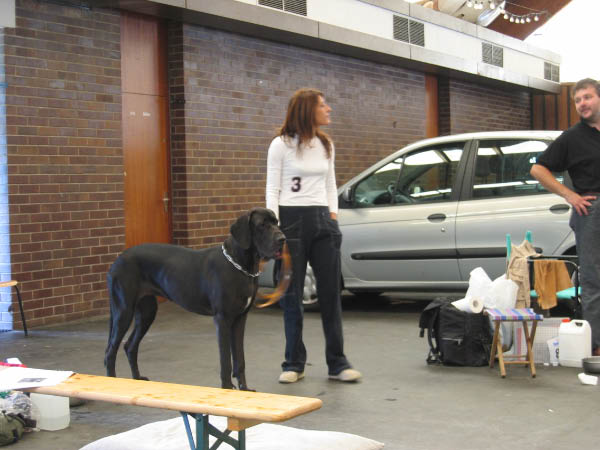 Bild 073