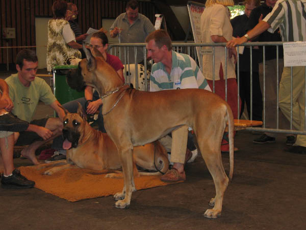 Bild 078