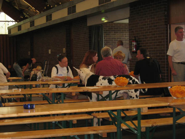 Bild 079