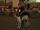 Bild 040