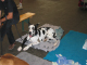 Bild 041