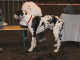 Bild 045