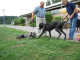 Bild 050