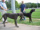 Bild 053