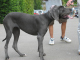 Bild 057