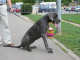 Bild 059