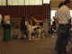 Bild 071