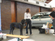 Bild 073