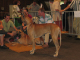 Bild 078