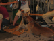 Bild 089