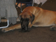 Bild 092