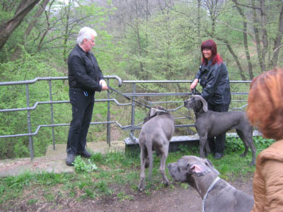 Doggentreffen Wuppertal 044