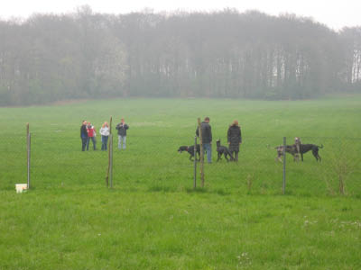 Doggentreffen Wuppertal 097