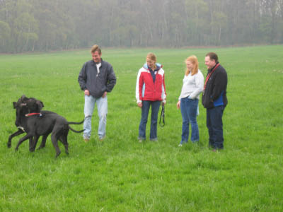 Doggentreffen Wuppertal 181