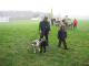 Doggentreffen Wuppertal 025