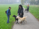 Doggentreffen Wuppertal 062