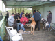 Doggentreffen Wuppertal 176