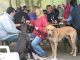 Doggentreffen Wuppertal 180