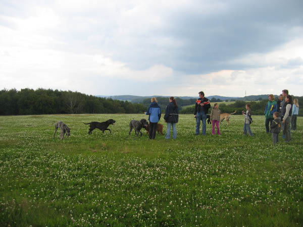 Bild 107